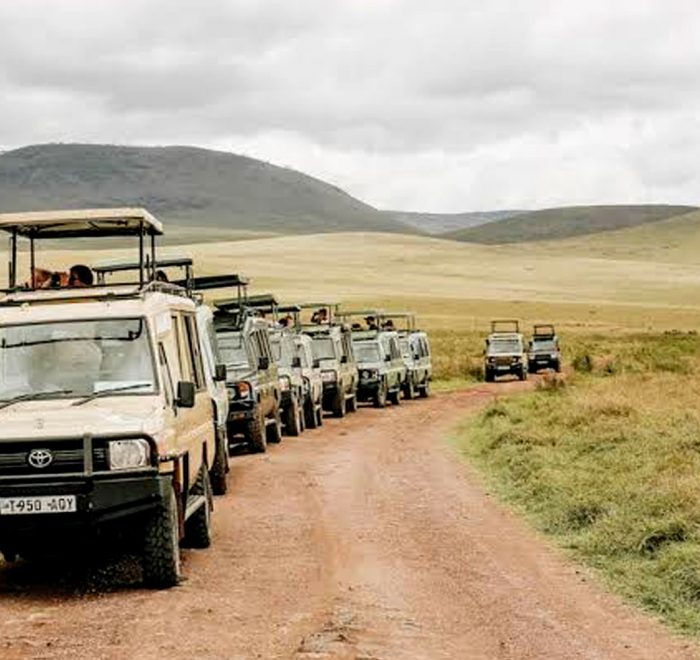 12-days-tanzania-luxury-safari-tour