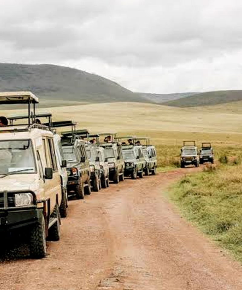 12-days-tanzania-luxury-safari-tour