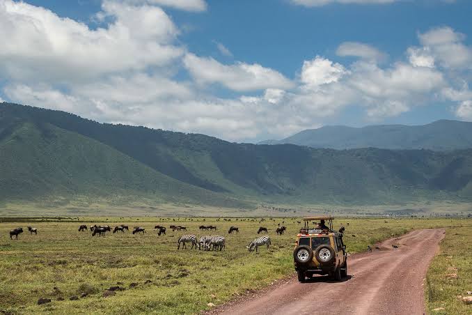 Luxury Safari in Tanzania