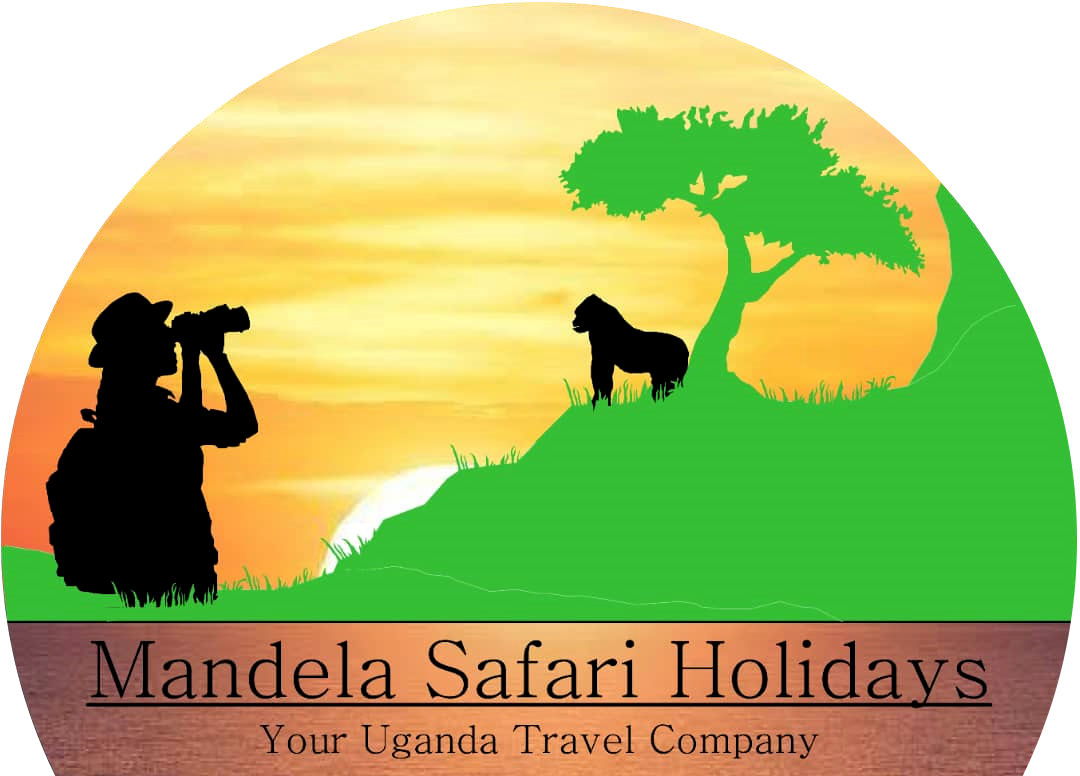 mandela-safari-holidays-logo