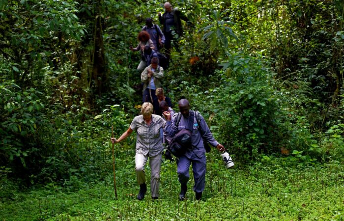 gorilla-trekking-in-bwindi