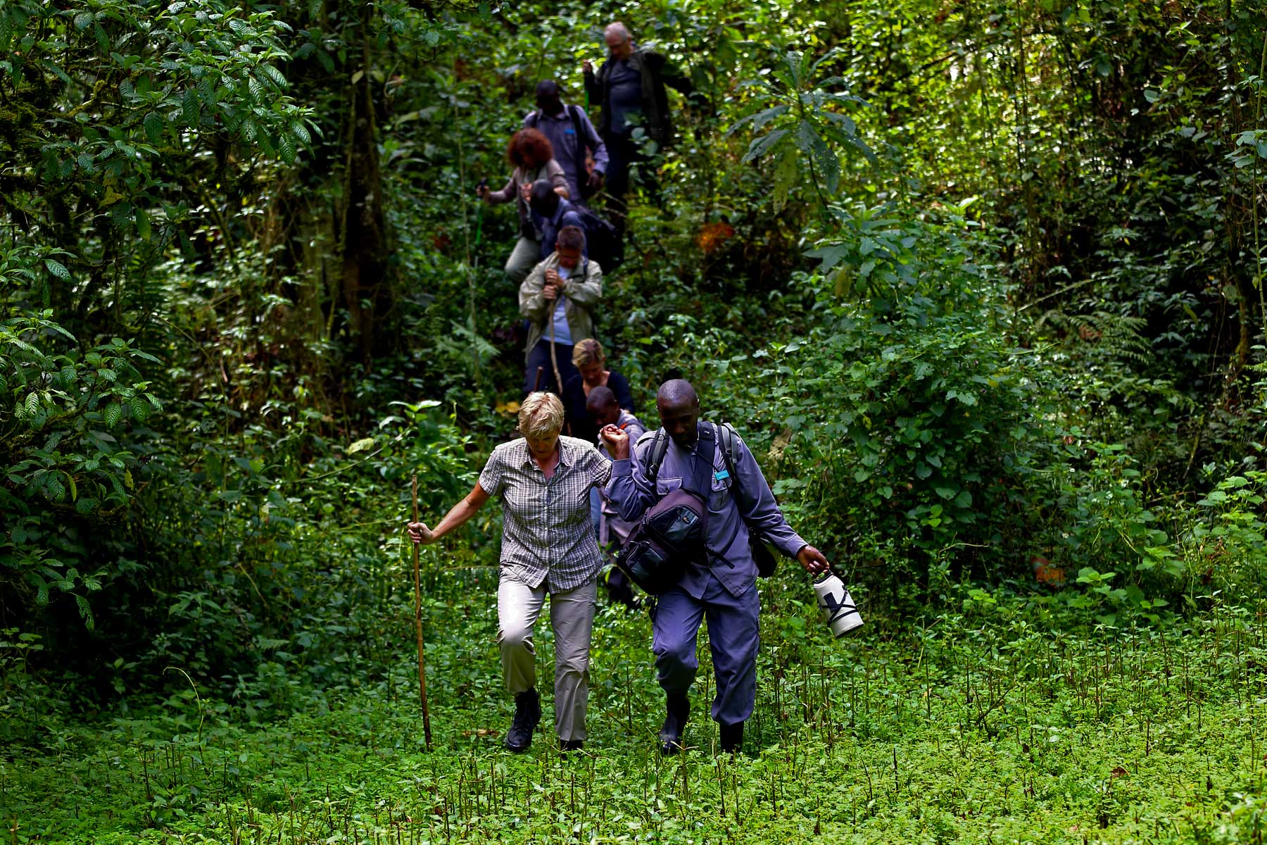 gorilla-trekking-in-bwindi