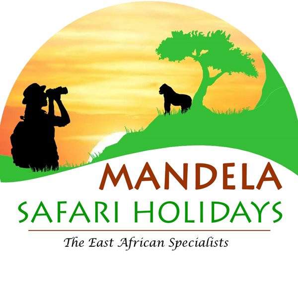 Mandela Safari Holidays Logo
